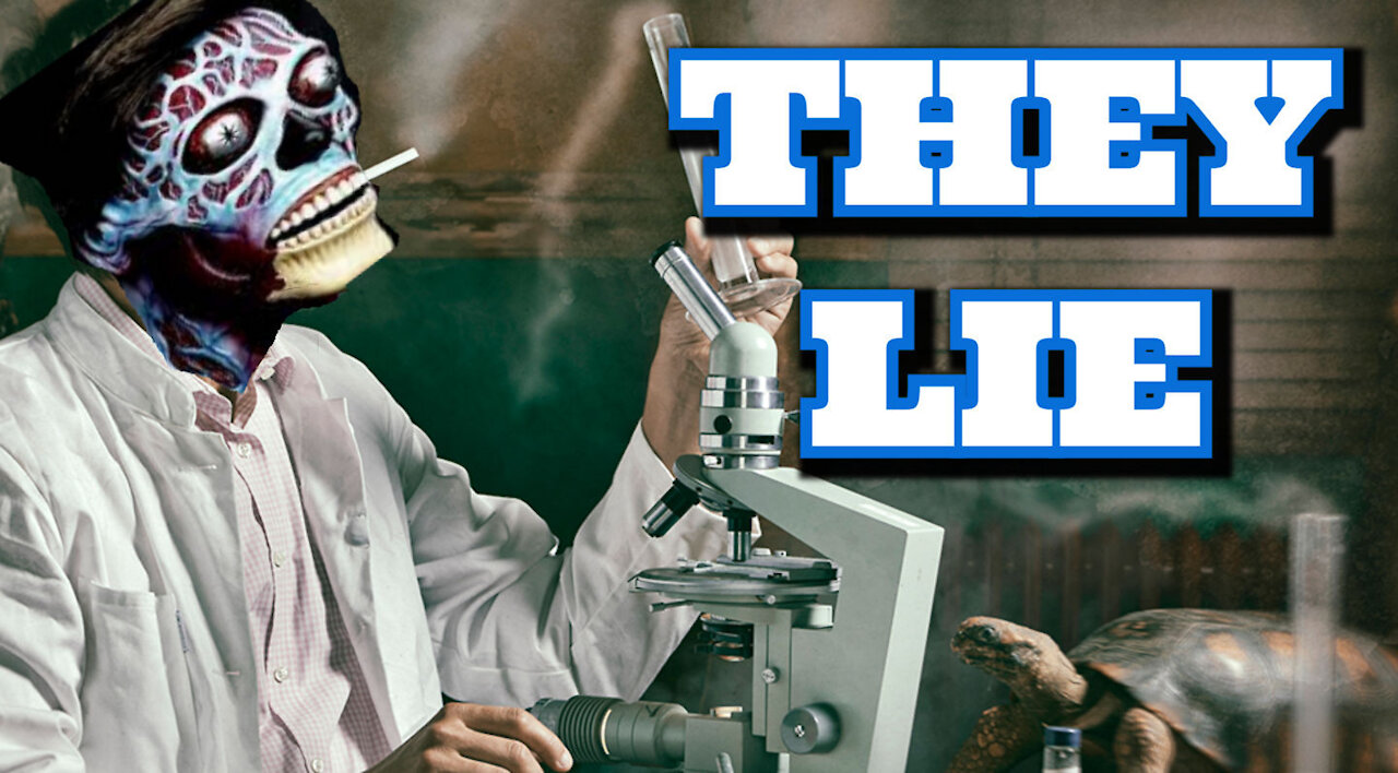 the Whole TipDaily - THEY LIE