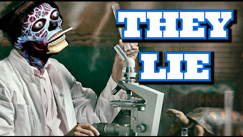 the Whole TipDaily - THEY LIE