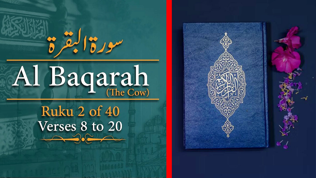 Quran with Translation | Surah Al Baqarah With Urdu Translation | Ruku 2 Of 40 | Verse 8 to 20