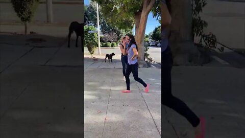 PIT BULL OFF LEASH!!! SHE CALLS THE COPS