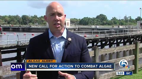 Rep. Mast introduces bill to combat algae blooms