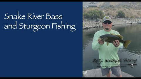 Snake River Bass and Sturgeon Fishing 2019