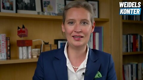 So zerstört die Ampel unser Land! Alice Weidel