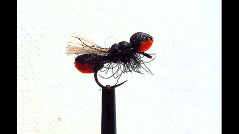 Styro Gun fighter Ant