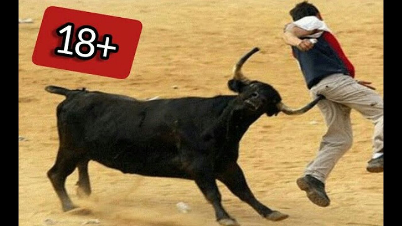 Very dangerous Angry bulls and stupid peoples