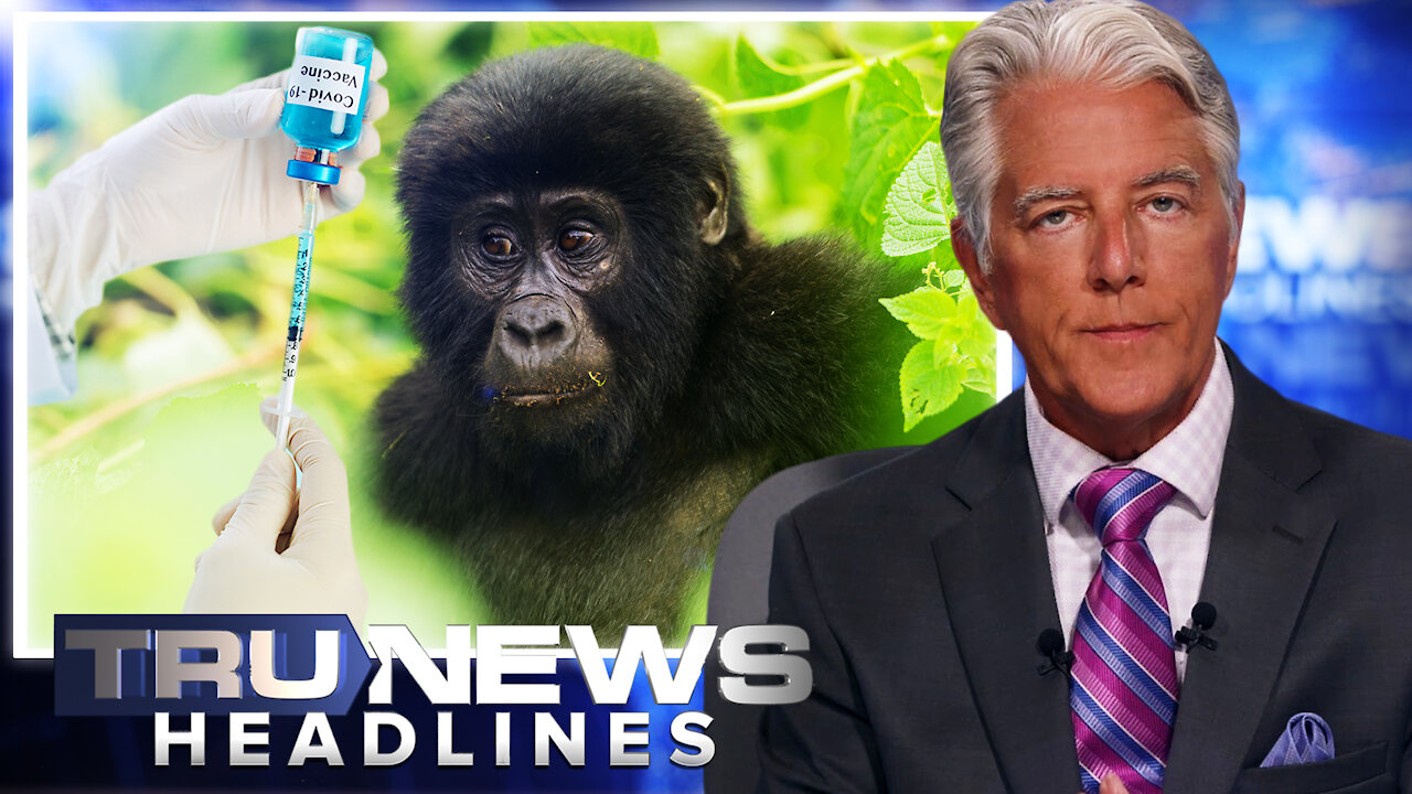 TruNews Headlines with Kerry Kinsey - March 8, 2021