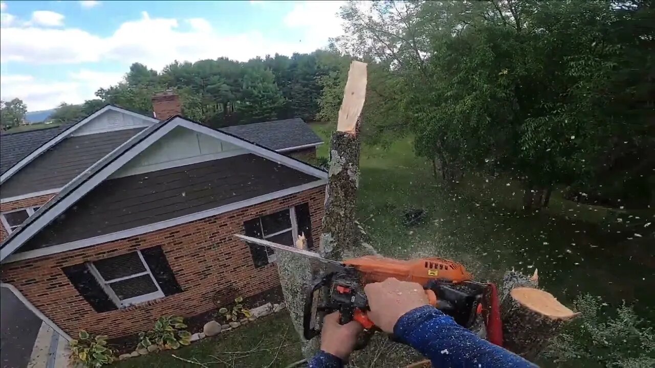 Chunking down a Bradford pear