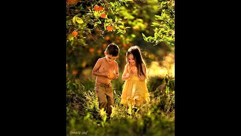 Innocent lost and who are the ones taking it.
