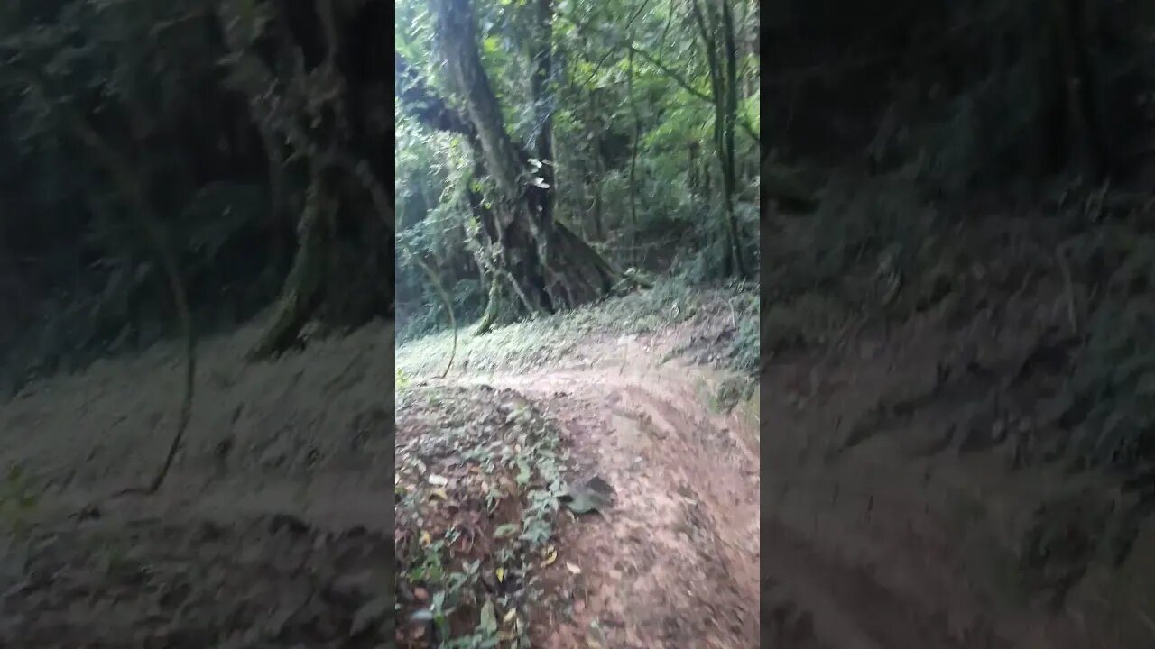 TRILHA RETORNO PARA TAIPAS TRILHA DE MOTOS AREA POVOADA