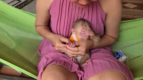 Mom I Don't Want To Look | Little Baby Monkey TLC