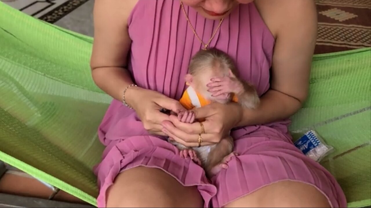 Mom I Don't Want To Look | Little Baby Monkey TLC