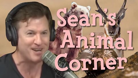 Sean's Animal Corner (Episode 235)