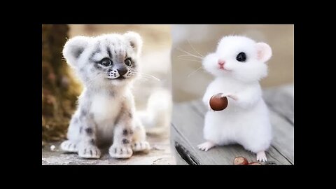 Cute baby animals Videos Compilation cute moment of the animals