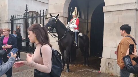 Run from the horse #horseguardsparade