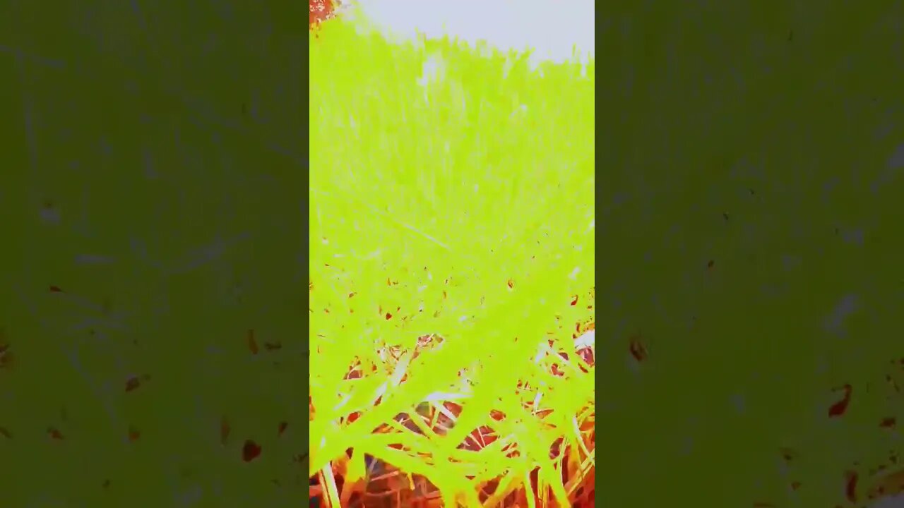 remix ulang video sinematik | RE-REMIX CINEMATIC VIDEOS #shorts #sinematik #cinematic