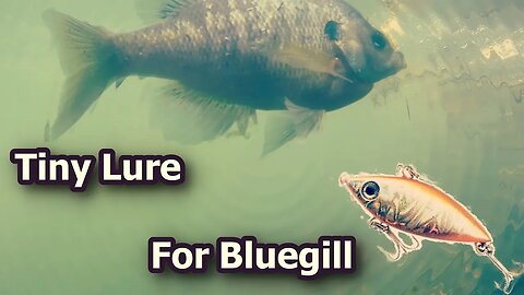 Fishing For Bluegill pt 1