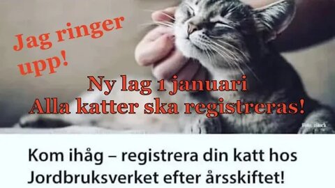 Nytt lagkrav kattregister 1 januari 2023