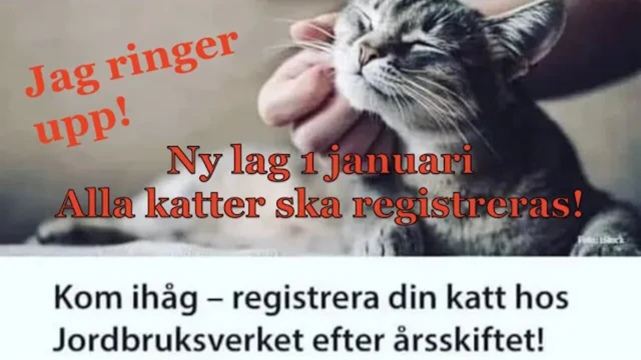 Nytt lagkrav kattregister 1 januari 2023