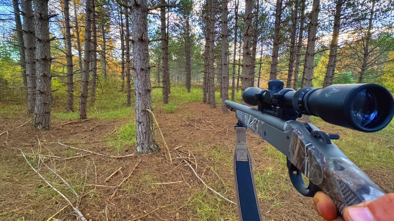 First Deer at Our New Cabin