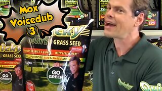Mox Voicedub (3)If Tailsly do Quicky Coated Grass Seed commercials