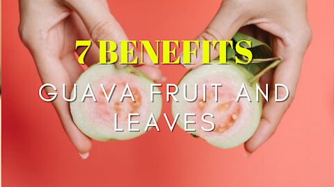 Guava Fruit and Guava Leaves Health Benefits