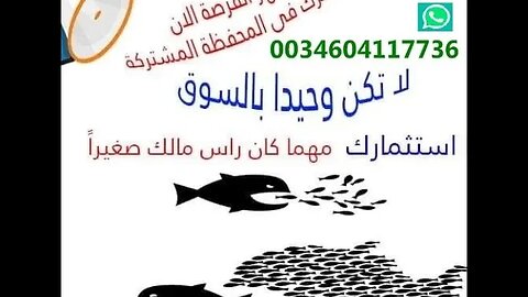 شرح المحفظة المشتركة1