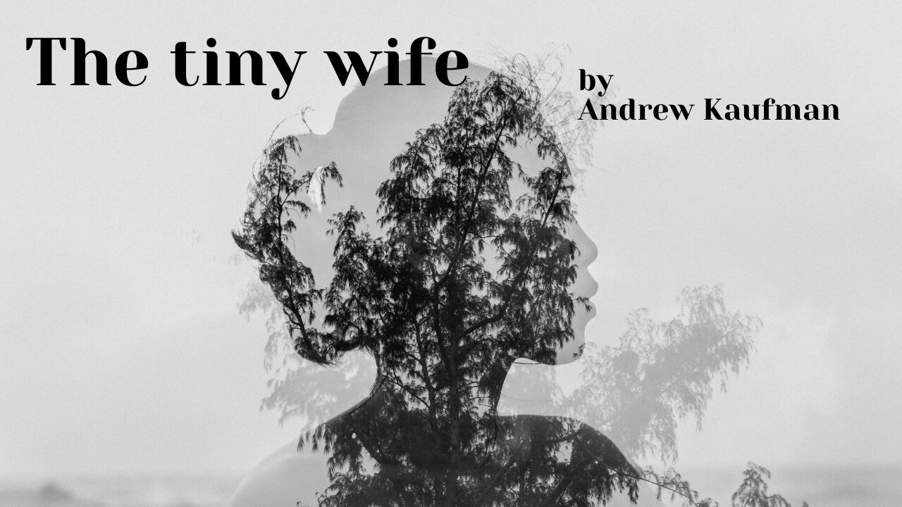 THE TINY WIFE by Andrew Kaufman
