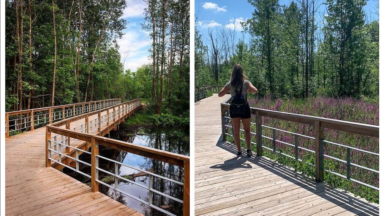 Tu peux te balader sur des passerelles en pleine nature sur la Rive-Sud de Montréal