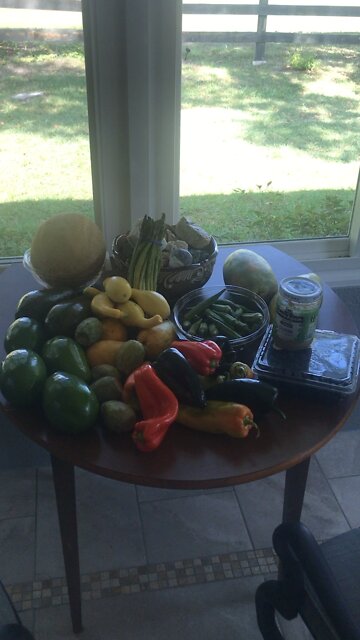 Meal of the week! Eat your Papaya seeds -