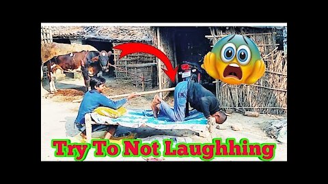 Best Funny Videos 2021!!!