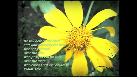 Angel numbers 231 and 931