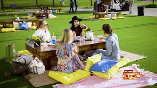 'Picnic On The Lawn' At Downtown Summerlin