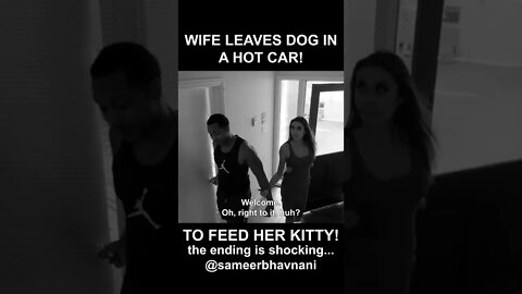 Wife Leaves Dog in HOT Car to Feed Her Kitty! | SAMEER BHAVNANI