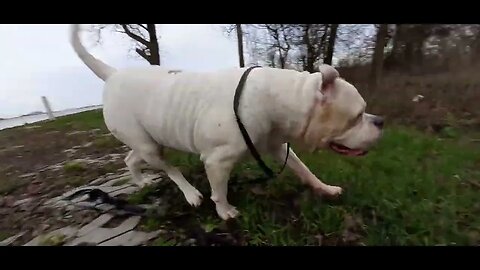 even een korte stop en zelf bijna een nat pak...