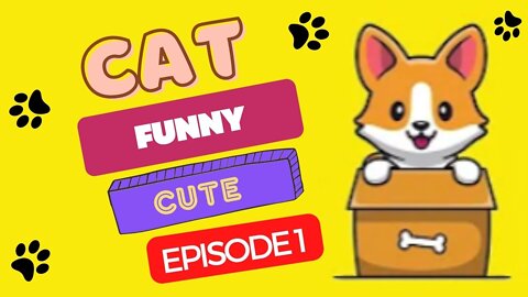 FUNNY DOG AND CAT - EPISODE 1