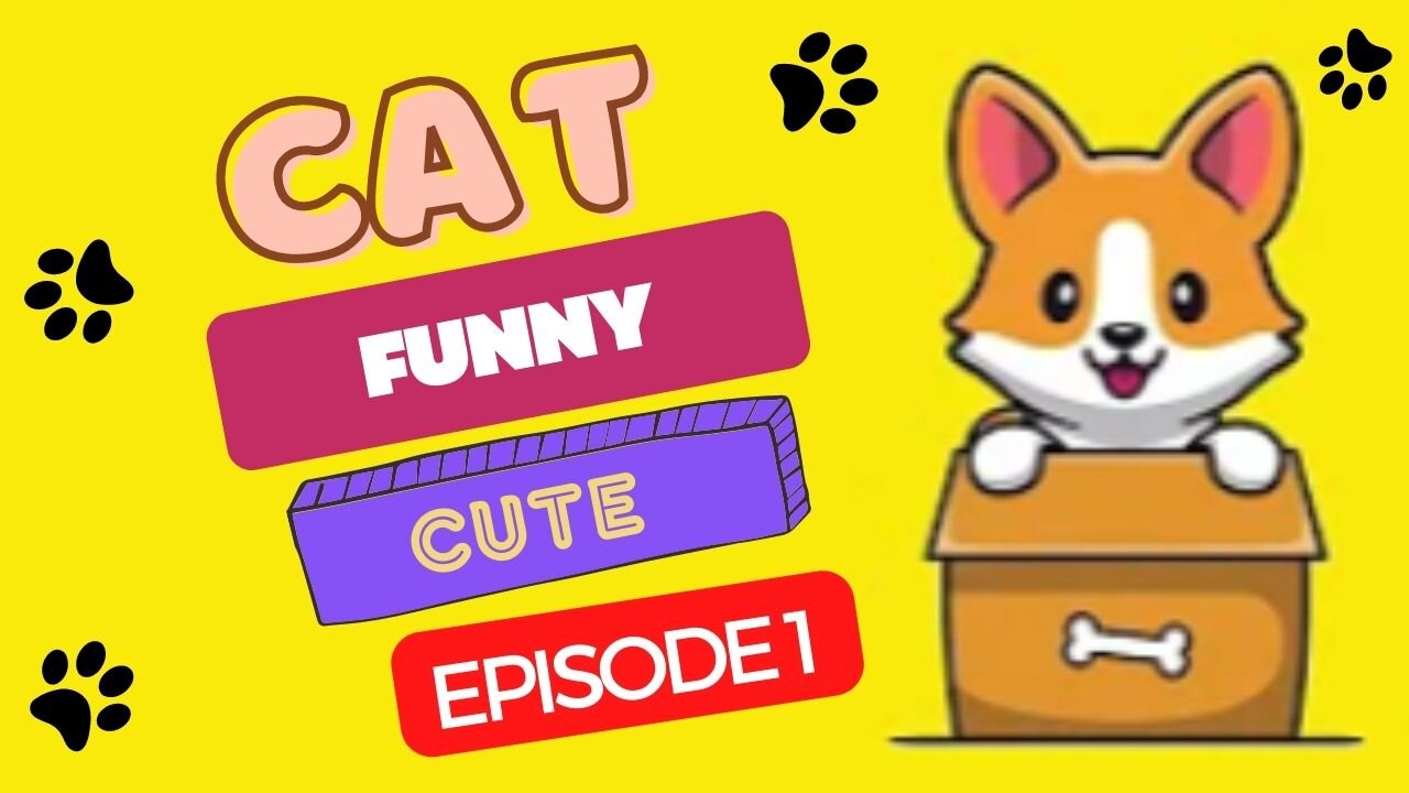 FUNNY DOG AND CAT - EPISODE 1