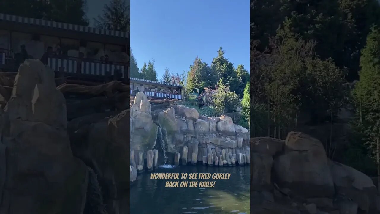 Steam train Fred Gurley chugs along the Rivers of America #disneyland #steamtrain #frontierland