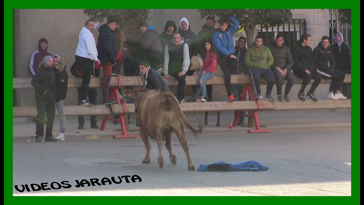 CABAÑAS DE EBRO ( ZARAGOZA ) TARDE VACAS EN CALLE ( DOMINGO 3 ABRIL 2022 ) GNAD. EULOGIO