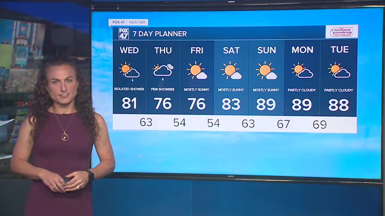 Forecast: Partly sunny, warm and muggy with isolated showers