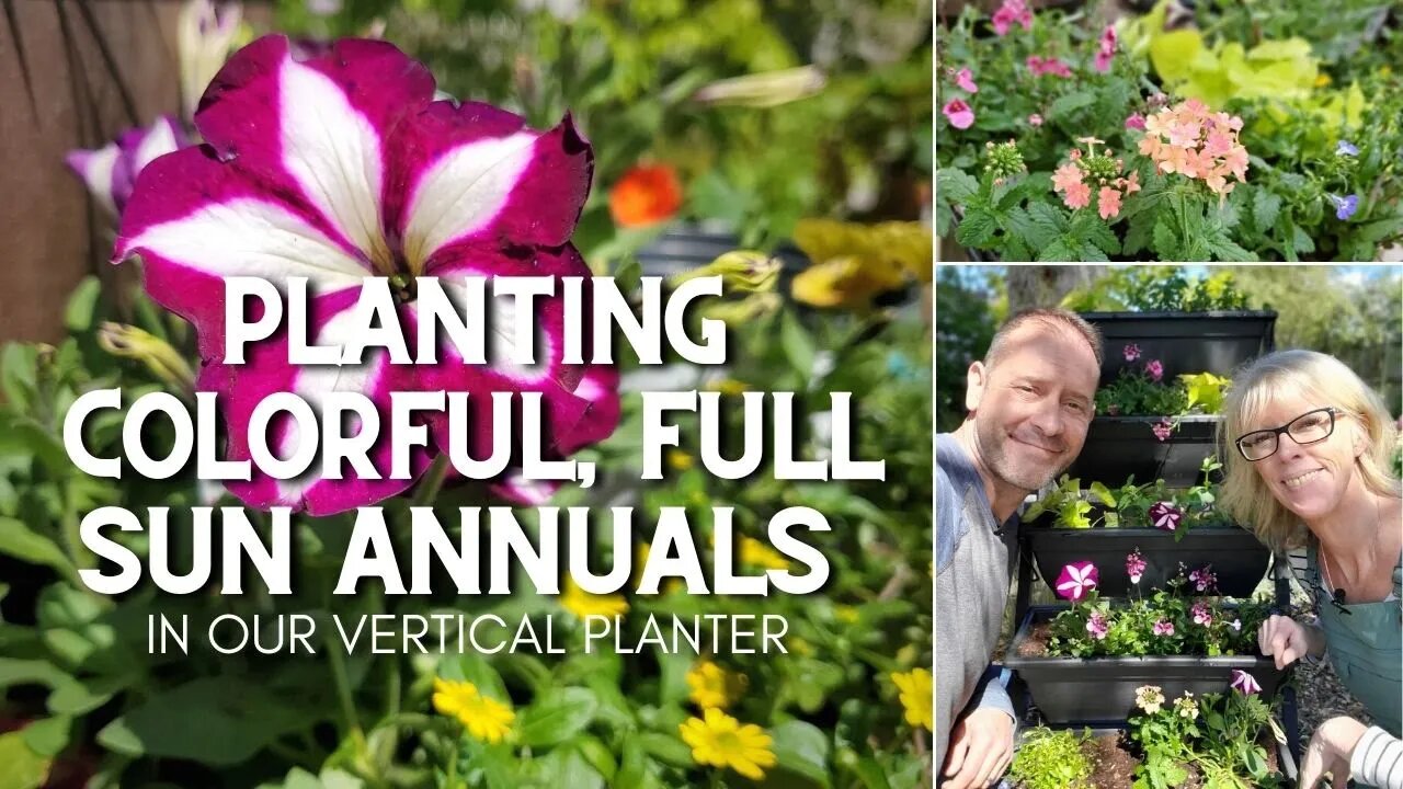Planting Colorful, Full Sun Annuals in Our Vertical Planter 😃