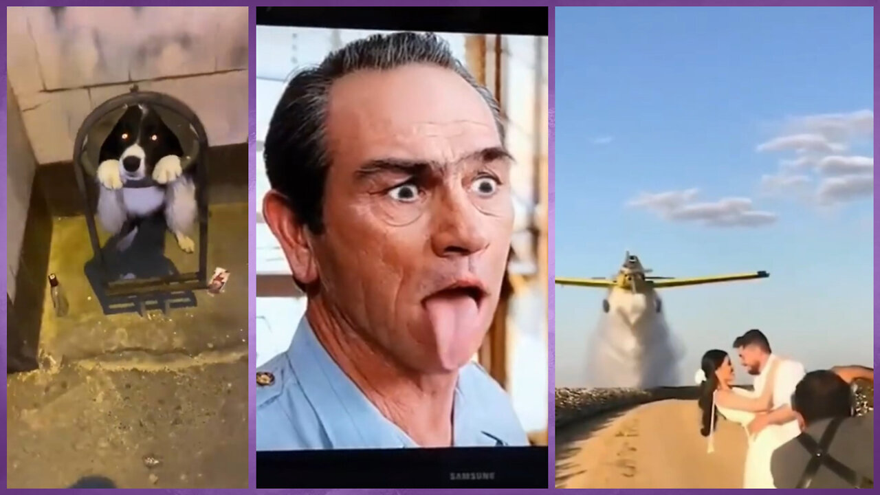 Best Funny Videos | Best Funny Fails | 2022 🤣