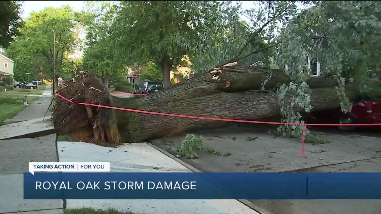 Storm damage in Royal Oak