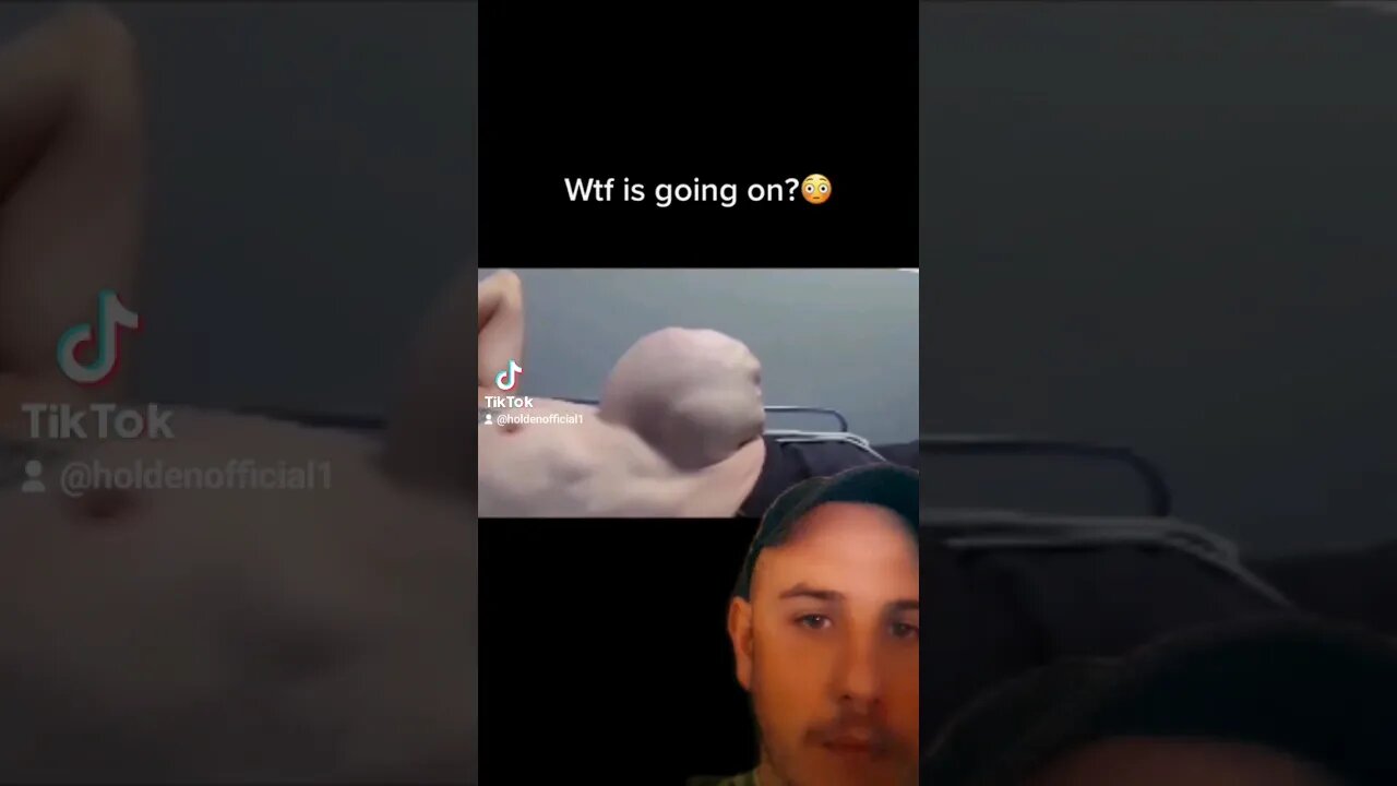 meme of the day #viral #thoughts #memes #memeoftheday #trending