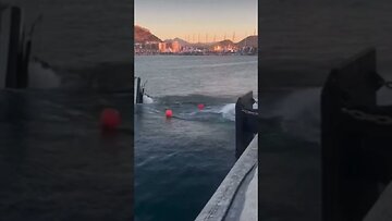 😂 congress, lifting us out of inflation by more deficit spending!