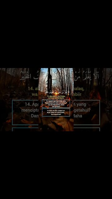 Surah Al-Mulk Ayat 14 . #alquran #quran #murottal