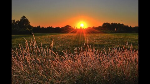 Beautiful Sun - Calm Music