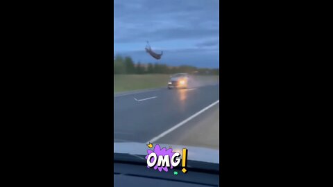 Big Accident Animals viral Video