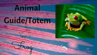 FROG Animal Guide/Totem Meaning