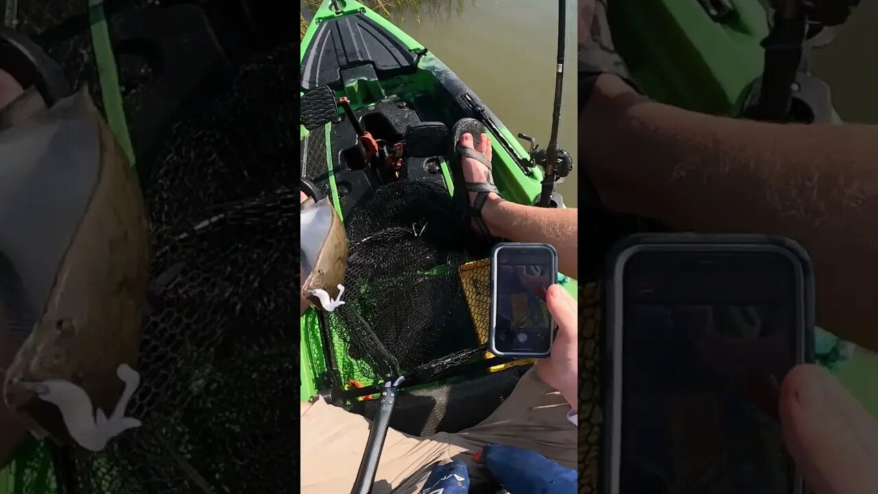 ANGRY FISH FIGHTS BACK!!! | Big flounder knocks my iPhone in the water! #fishingfail #kayakfishing