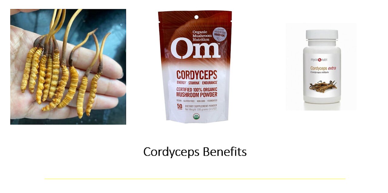 Cordyceps Mushroom Benefits